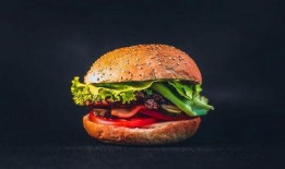 中国汉堡爆料视频最新版,揭秘网红美食背后的真相